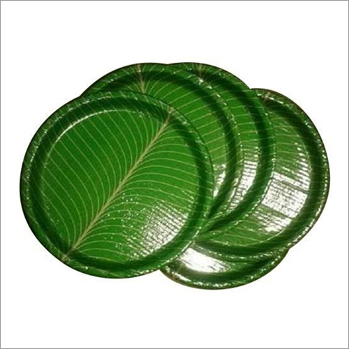 लीफ पेपर प्लेट का आकार: अनुकूलित