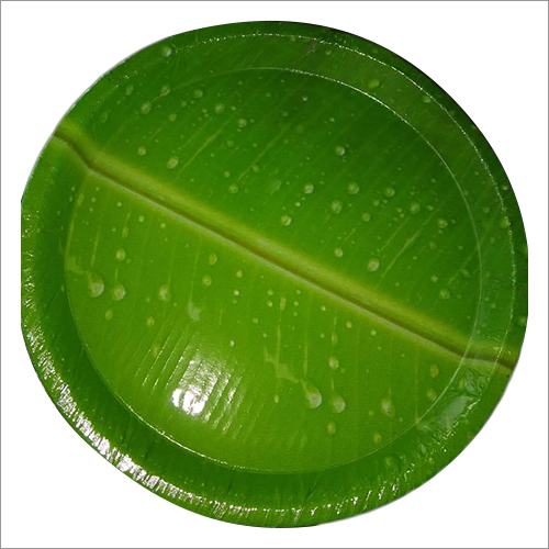 ग्रीन पेपर प्लेट का आकार: अनुकूलित