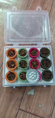 साम्ब्रानी कप