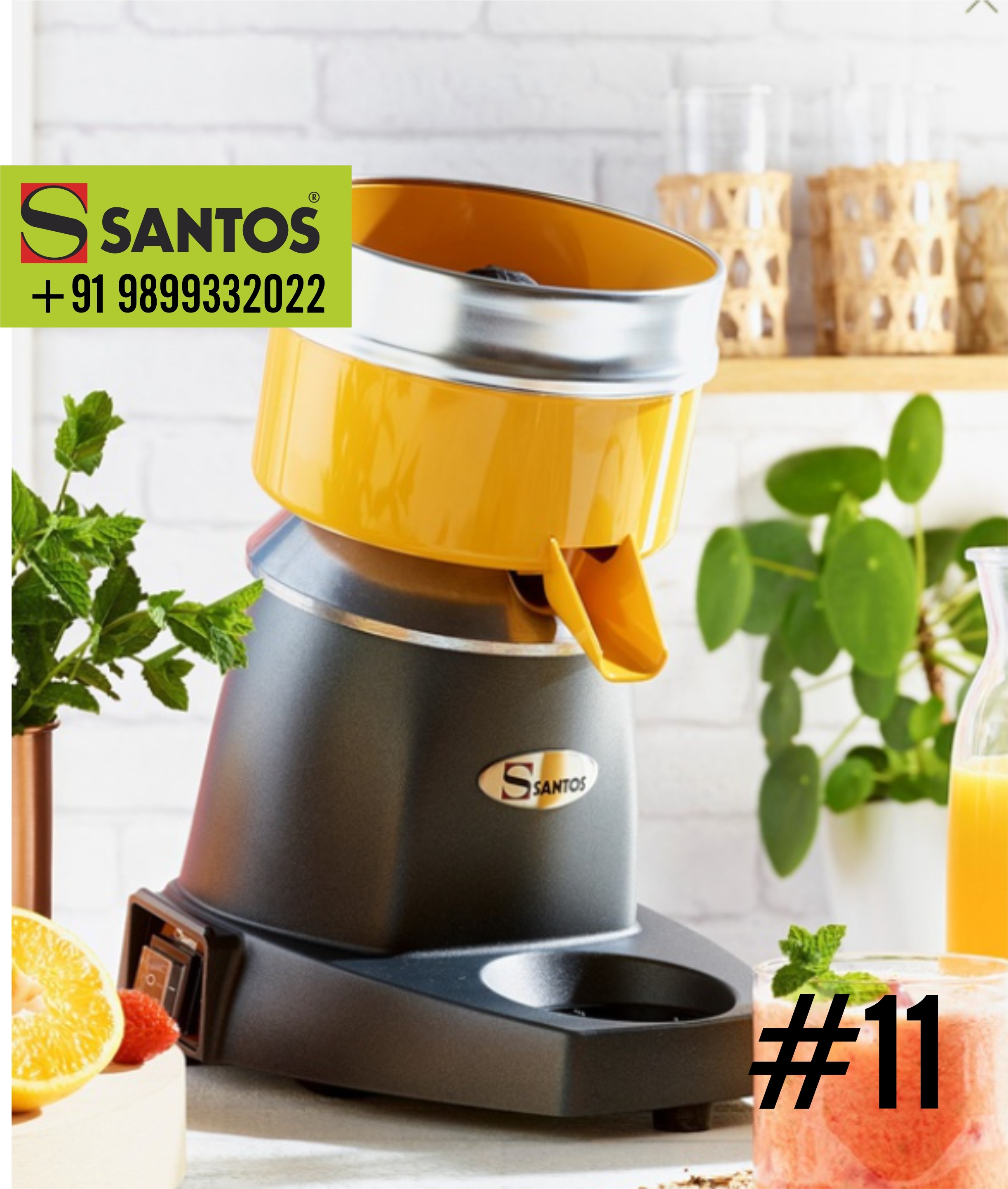Green Santos Citrus Juicer 11