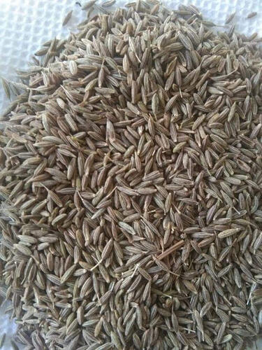 जीरे का बीज