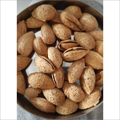 Paper Shell Mamra Almond - Vacuum Bag Packaging | Common Cultivation, Dried Style, Moisture Nil, Indian Origin