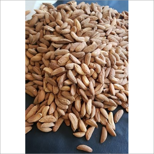 Long Size Mamra Almond