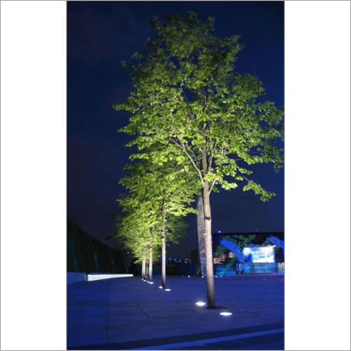 White Round Series Landscape Light