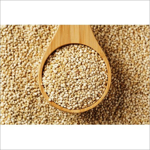 Normal Organic White Quinoa Seeds