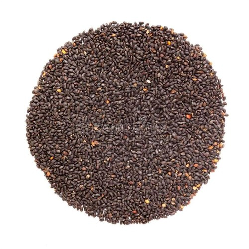 Organic Basil Seeds - 25 Kg Bag | Black, Common Cultivation Type, 99.9% Purity, Dietary Fiber 34.86 G Per 100 G, 12 Months Shelf Life