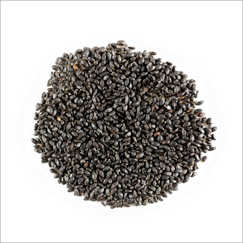 Organic Basil Seeds - 25 Kg Bag | Black, Common Cultivation Type, 99.9% Purity, Dietary Fiber 34.86 G Per 100 G, 12 Months Shelf Life