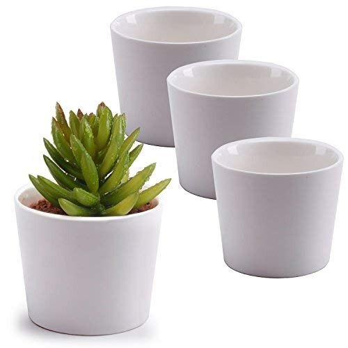 White Ceremic Pots