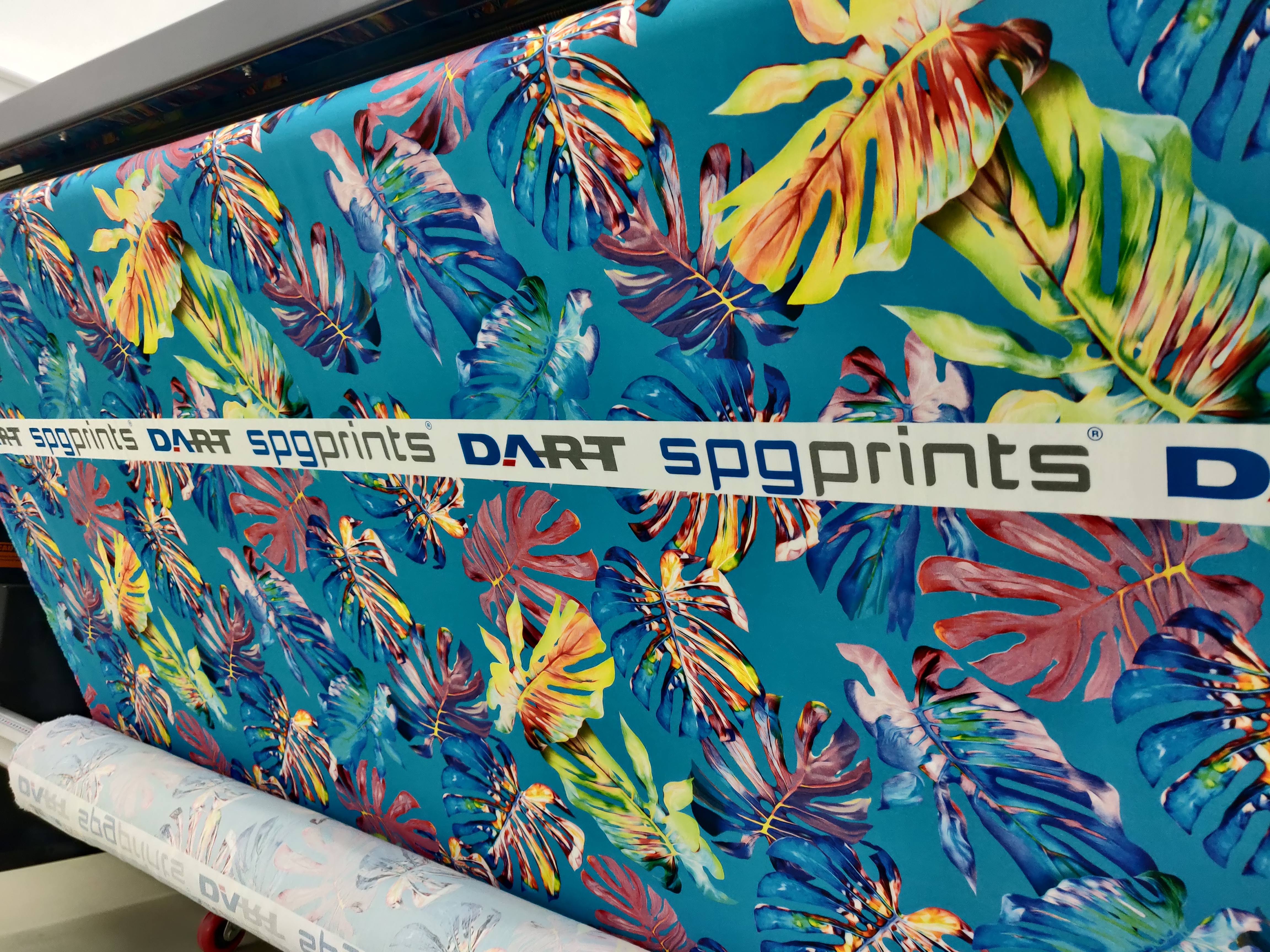 Digital Fabric Printer - Automatic Grade: Automatic