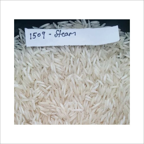 Organic White Steam Rice 1509