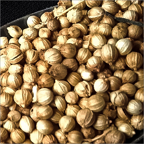 धनिया बीज ग्रेड: A