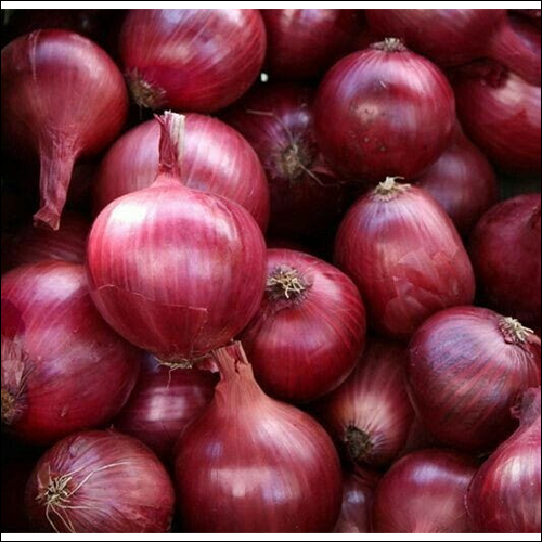 Red Onion - Round Shape, Raw Processing Style | Preserved Freshness and Flavor