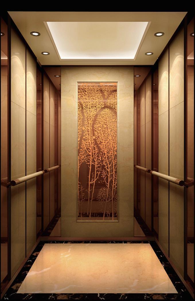Krisha Engineering Commercial Passenger Lift - Material: Stainless Steel
