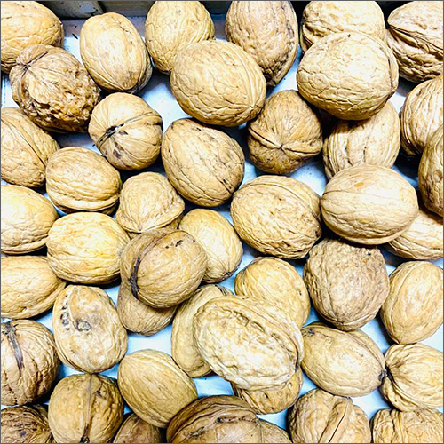 Common Dried Walnuts