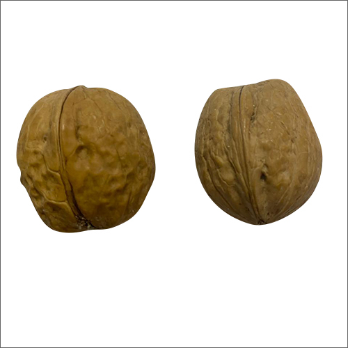 Common Dried Walnuts
