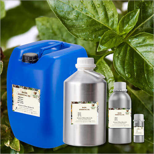 Basil Essential Oil - Pale Yellow Clear Liquid, Anti-Inflammatory Properties for Arthritis & Heart Health - 2-Year Shelf Life, Adult Use, Leak-Proof Container