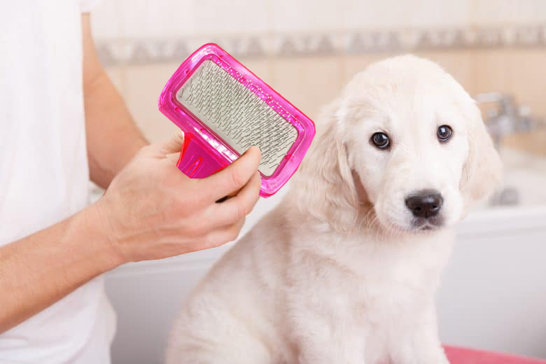 Pet Grooming Brush - Capability: Effective Removal Of Loose Fur And Dirt