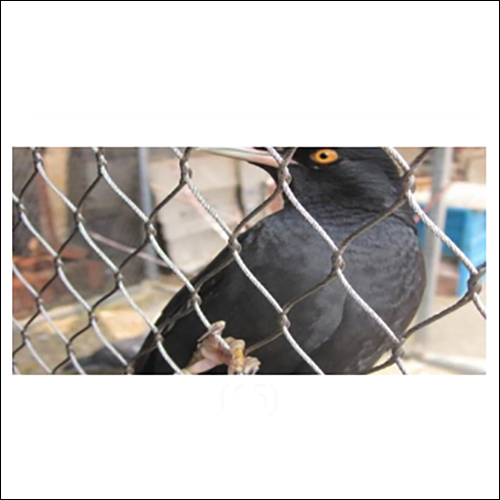 Aviary And Bird Screen - Color: Sliver