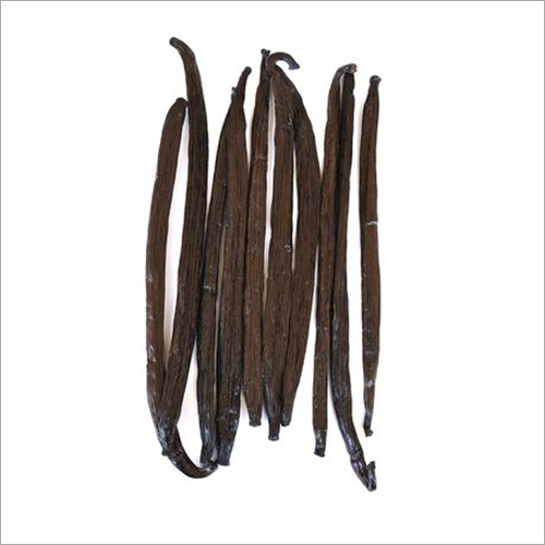 Vanilla Beans - Color: Black