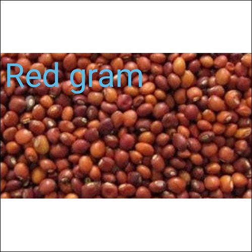 Red Gram - Organic Whole Pulses, Medium Grain Size, Minimal Admixture, 99% Purity, Oval Shape, Sun Dried, 12% Moisture, 2023 Crop Year