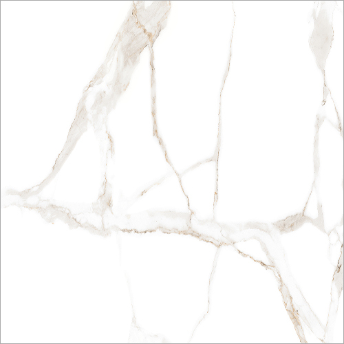 मार्बल व्हाइट एप्लीकेशन: फ्लोर टाइल्स