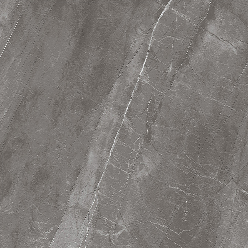 ग्रेंजर ग्रे एप्लीकेशन: फ्लोर टाइल्स