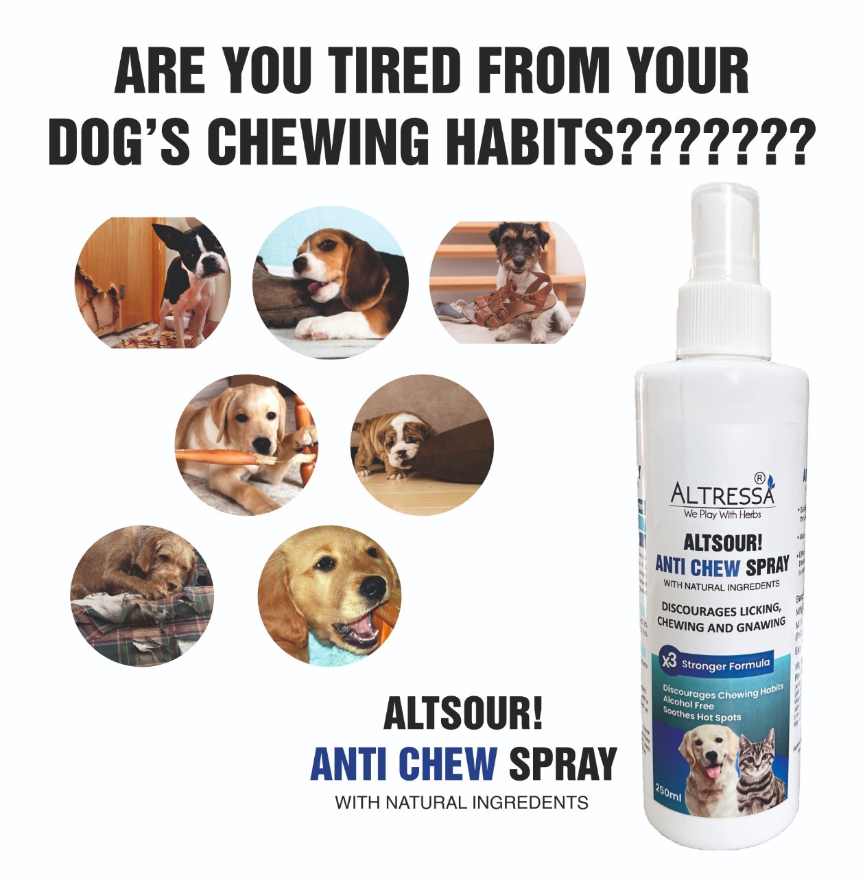 Anti Chew Spray - 250 Ml | No-bite Formula For Dogs & Small Animals, Harmless Deterrent Against Unwanted Chewing And Licking
