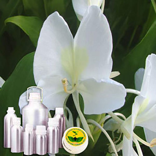 Hedychium पानी