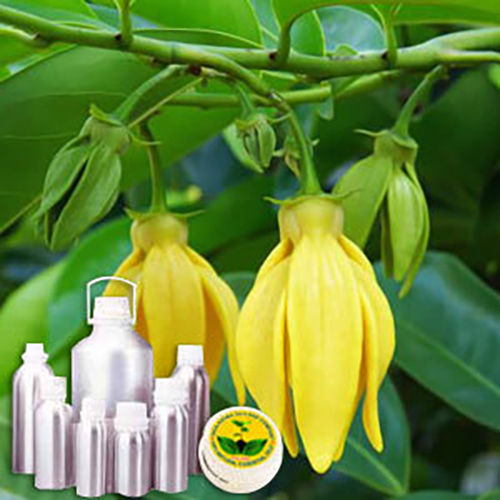 Ylang Ylang Water