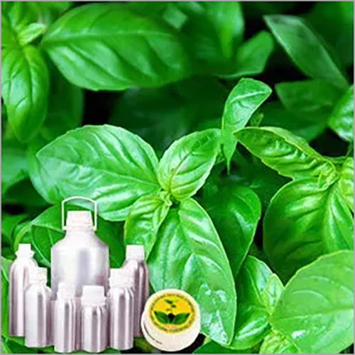 तुलसी मिस्र तेल