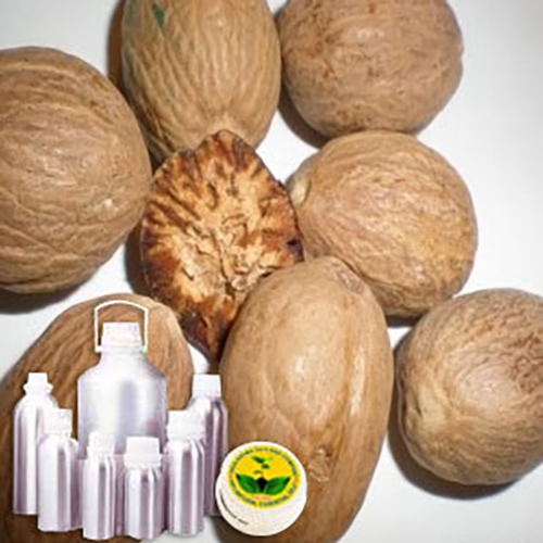 जावित्री का तेल