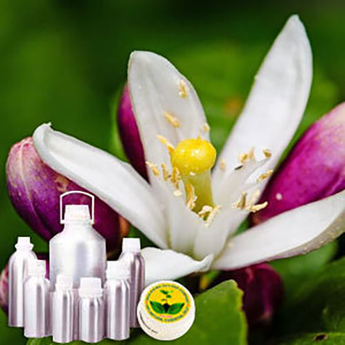 Neroli Oil