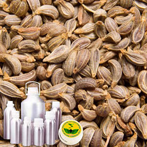 Parsley Seed Oil - Cold-Pressed, Thick Viscosity, Pale Yellow Color | Anti-Microbial, Culinary Uses, Herbal Scent, Medicinal Properties