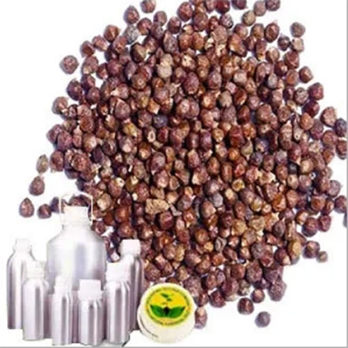 Tomar Seed Oil