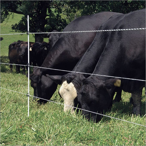 पशुधन के लिए सौर बाड़ सेवा