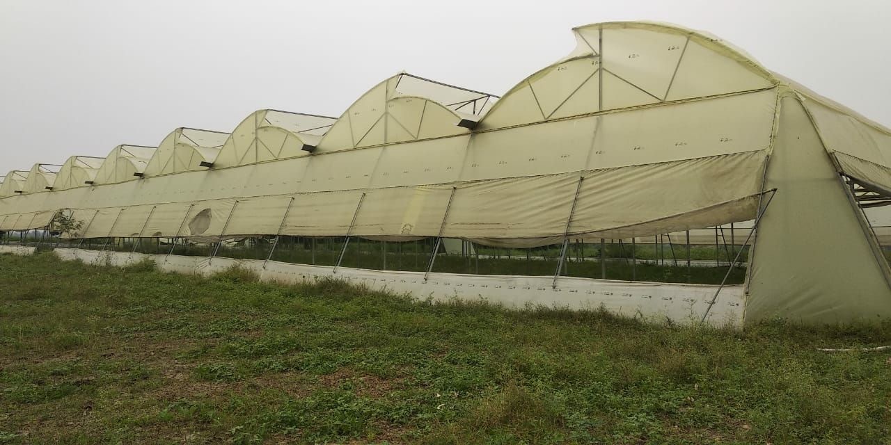 Poly House Fully Automatic With Cloud Monitoring Via App
