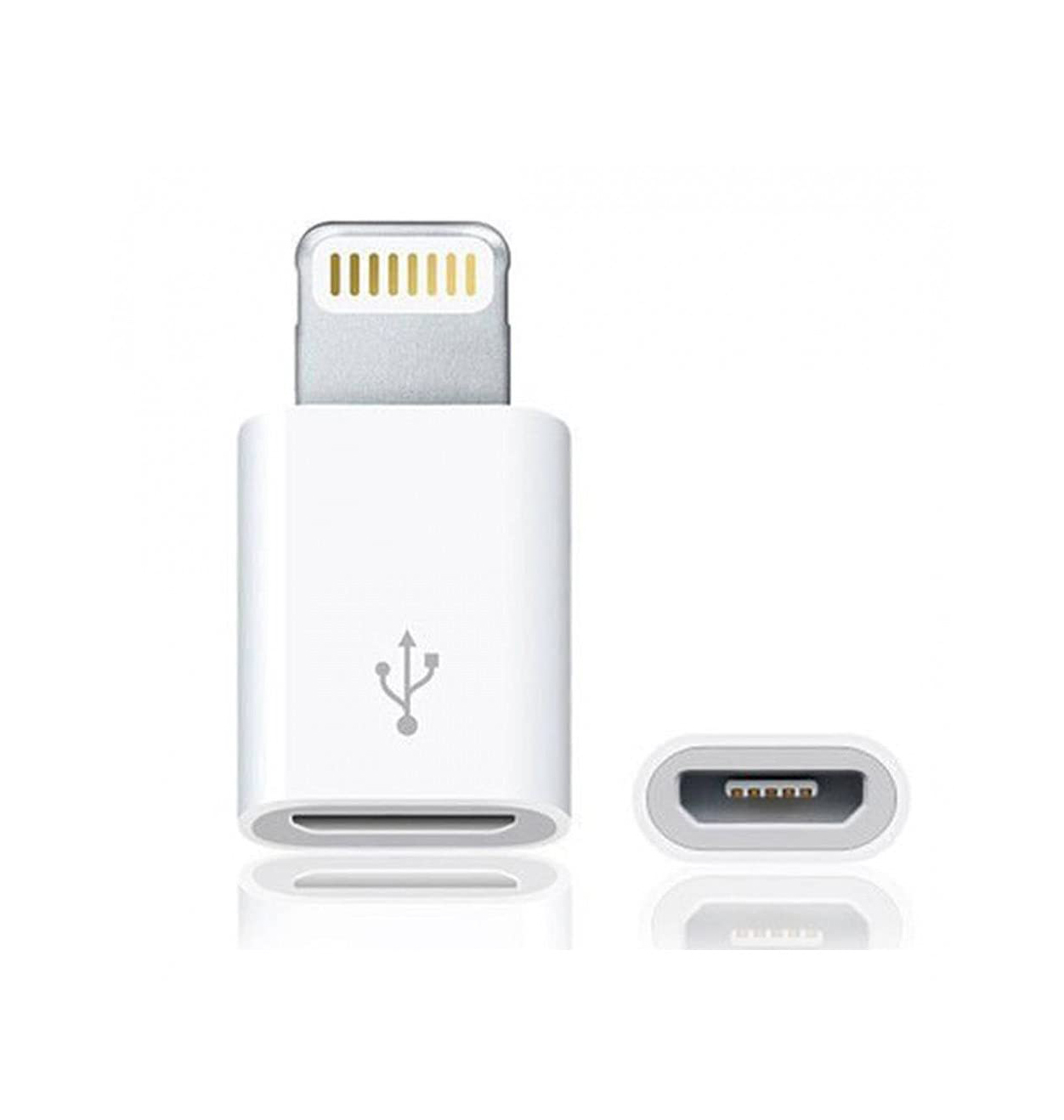 Micro Usb  Lightning Connector