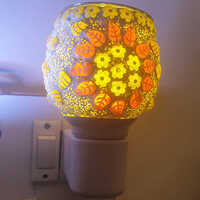 इलेक्ट्रिक कपूरदानी