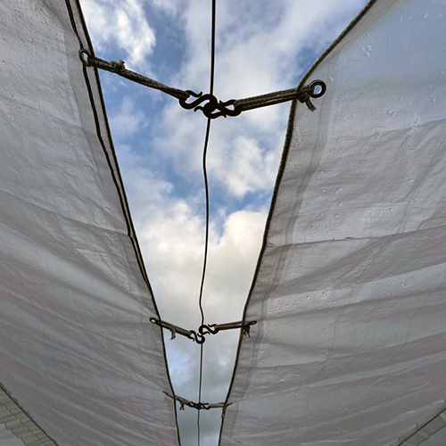 Plastic Grape Cover - Single Layer, Various Sizes | Transparent Plastic, Ideal For Industrial And Commercial Use