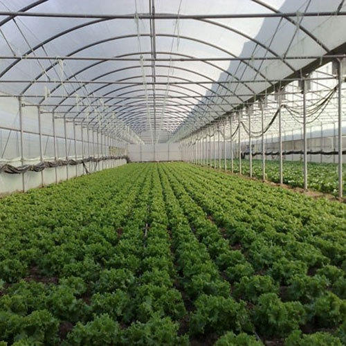 Green House Net - Hdpe Material, Customized Dimensions, Regular Colors (Green, Beige, Pink, White) | Uv Coating, Sunshade, Rainproof Features