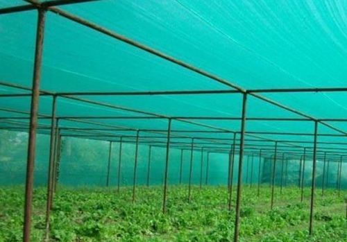 Agro Shade Net - Hdpe Material, Max 6 Mt Width, Customized Length, Regular Colored Green & Other Options, Shade 35%-90% | Uv Coating, Coated Finish, 50 To 200 Gsm