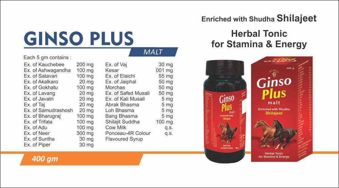 Ginso Plus Malt