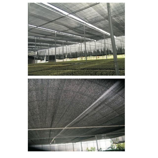 50% Black Shade Net - Hdpe Material, Max Width 6 Mt., Customized Length, Uv Stabilized Coating, Available In Black, Green, Beige & More