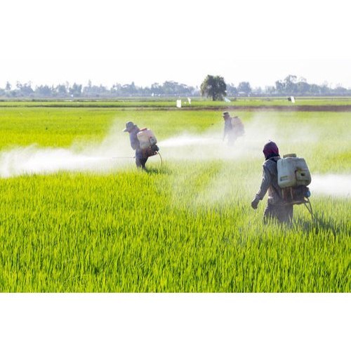 EMAMECTIN BENZOATE - 1.9% EC Concentrate | Effective Pest Control Solution for Agriculture
