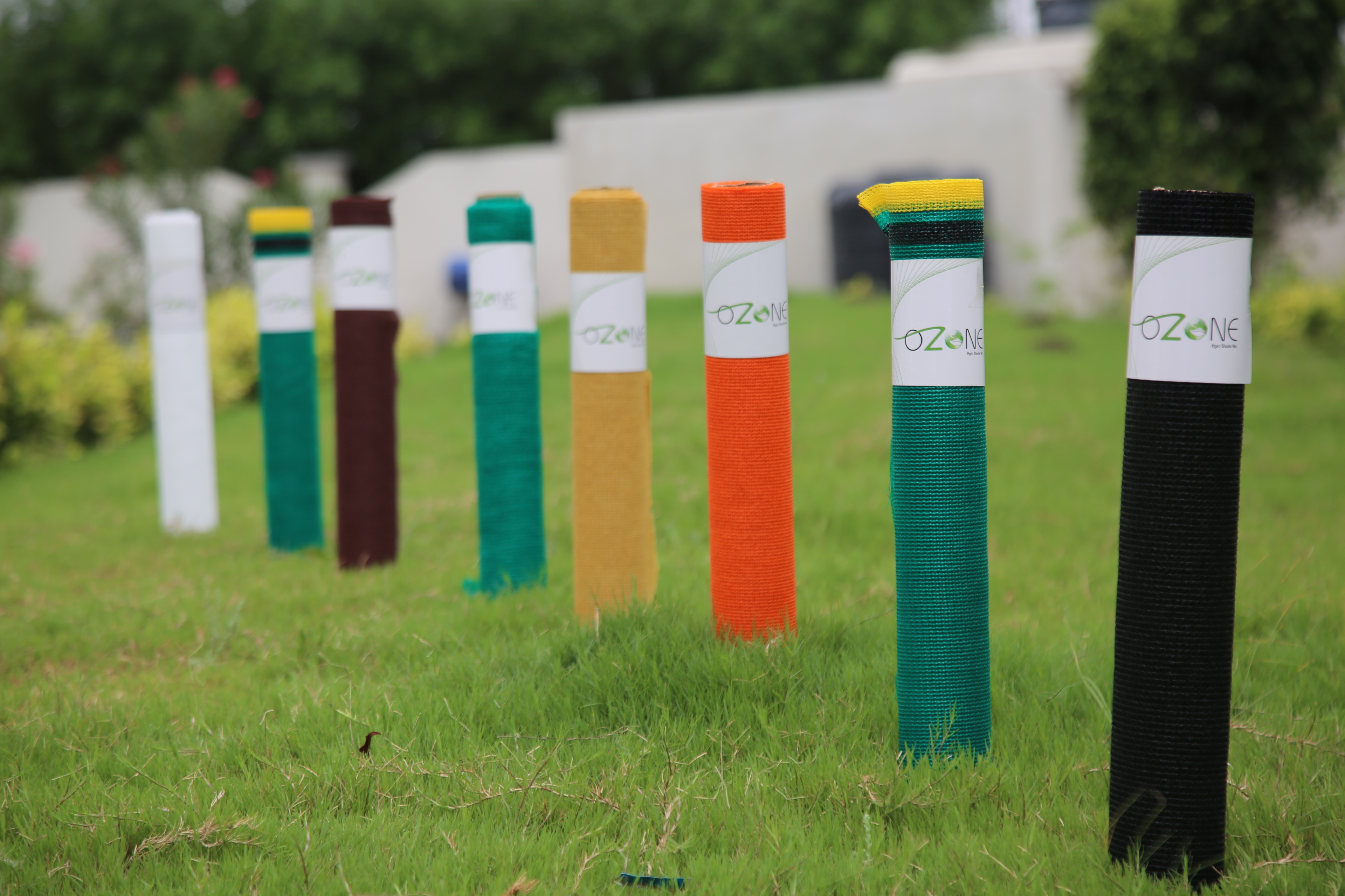 Decorative Carpet Net