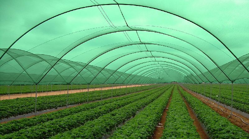 Uv Net House Shade Net
