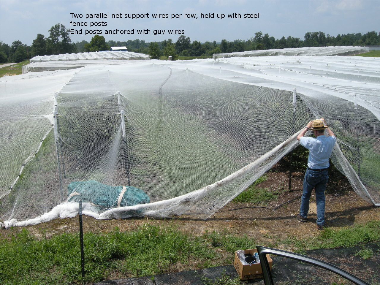Uv Green Color Agro Shade Net