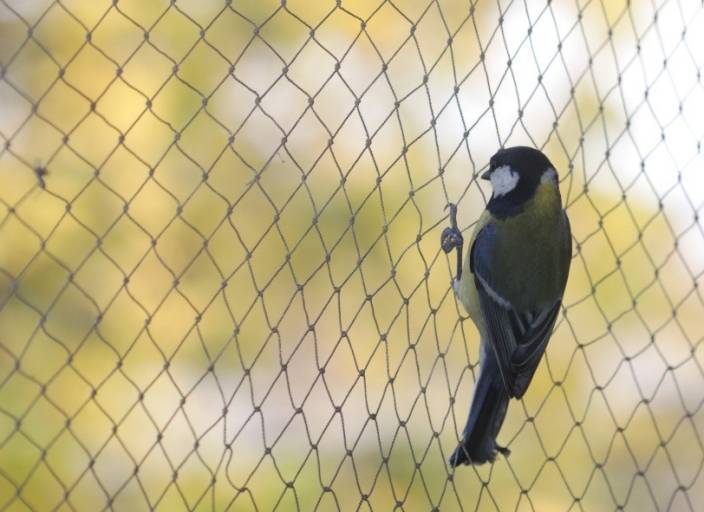 Uv Green Color Agro Shade Net