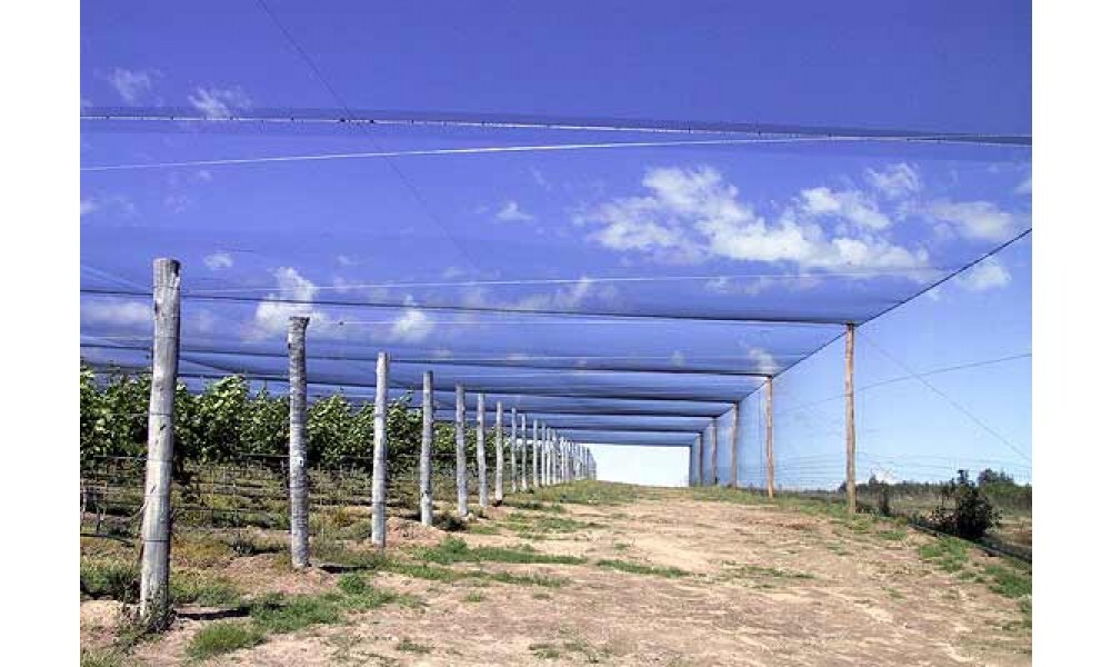 Uv Green Color Agro Shade Net