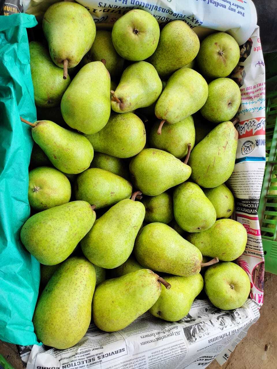 Babugosha Fruit